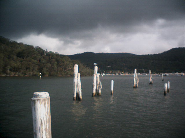 Hawkesbury river, facing towards Brooklyn.  As is the pelican.